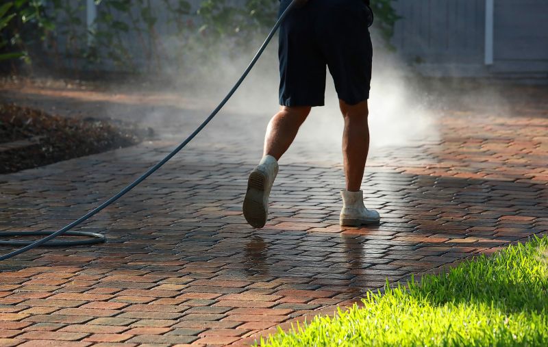 Stone and Brick Surface Cleaning