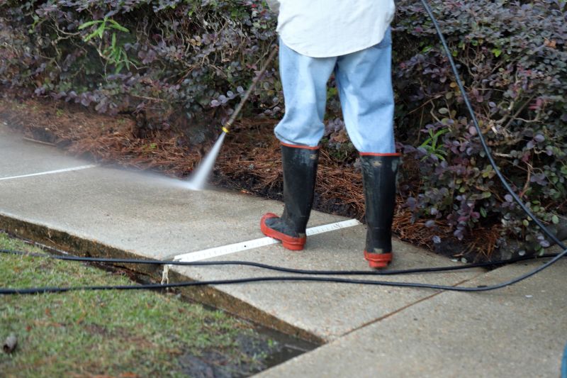Powerwashing in Spring